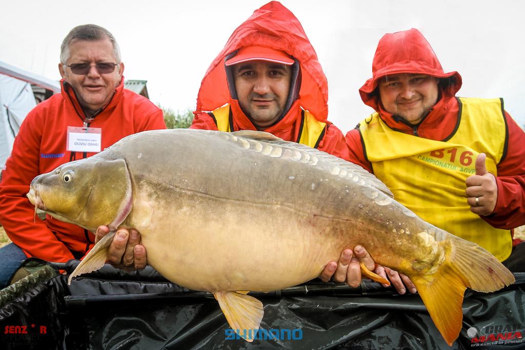 CN 2017 - dan-mitranescu.jpg